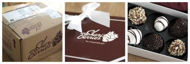 SHARIESBERRIESRibbet collage