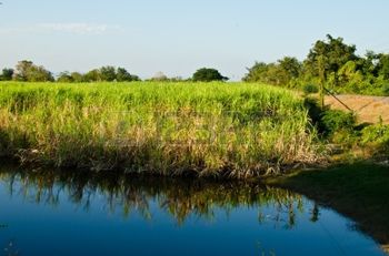 Removing this one thing made my life SO much better!