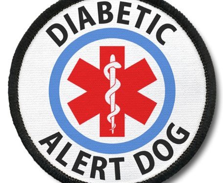 We NEED Your Help: Help Addysen Get a Diabetic&nbsp;Dog
