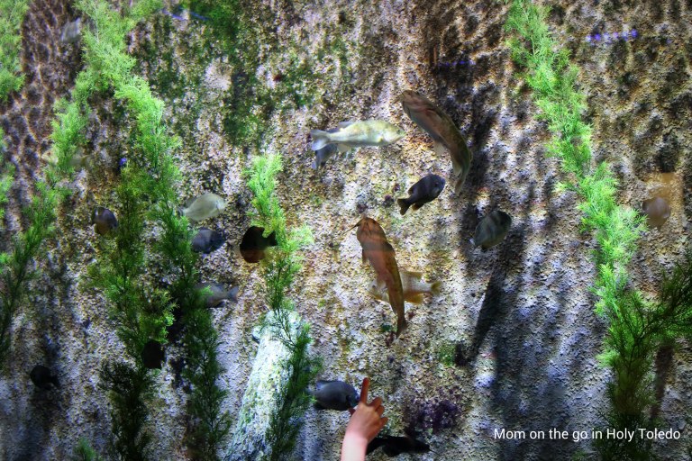 adventureoutdoors 008