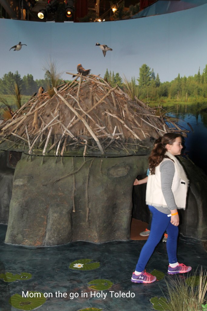 adventureoutdoors 040