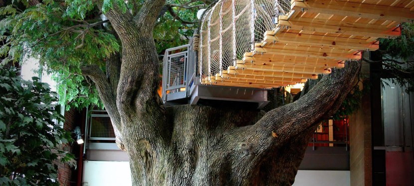 Outdoor Adventure Center in Detroit, totally worth the&nbsp;trip!