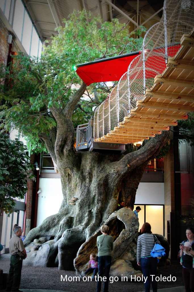 adventureoutdoors 045