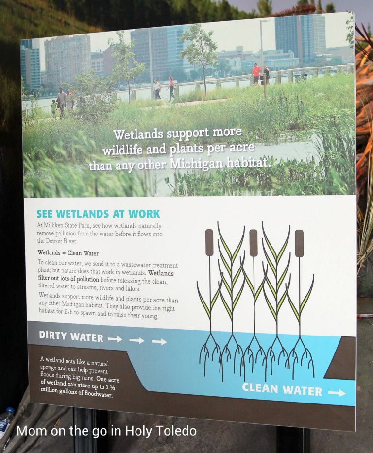 adventureoutdoors 071