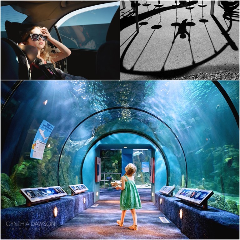 (1) Toledo Photographer Light