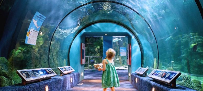 3 Tips Every Mom Should Know To Get Awesome Photos of their&nbsp;Kids