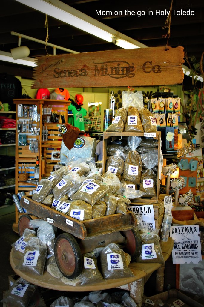 bellevuefun_2016 002