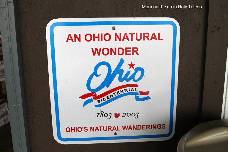 bellevuefun_2016 003