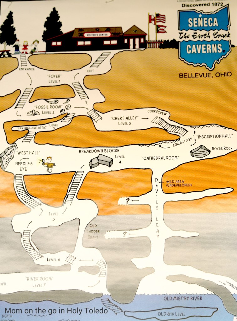 bellevuefun_2016 013