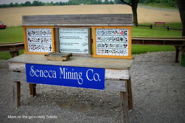 bellevuefun_2016 014