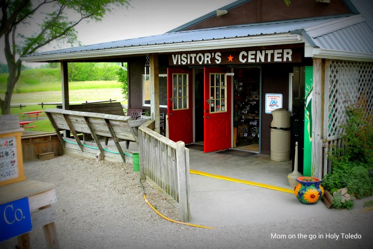 bellevuefun_2016 017