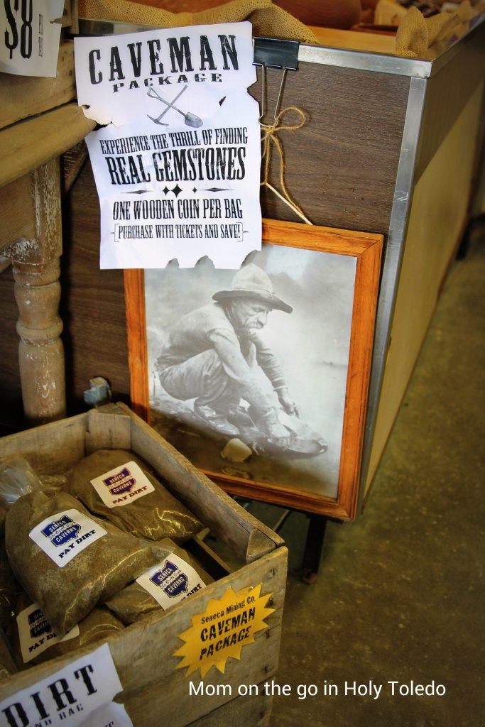 bellevuefun_2016 025