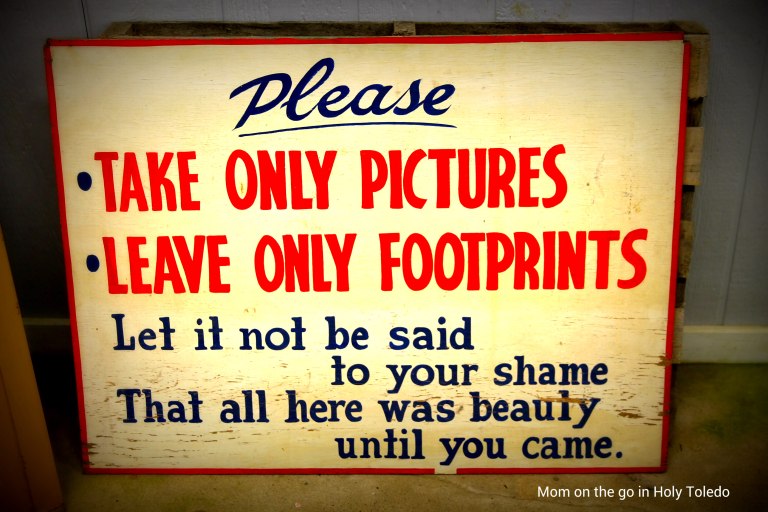 bellevuefun_2016 027