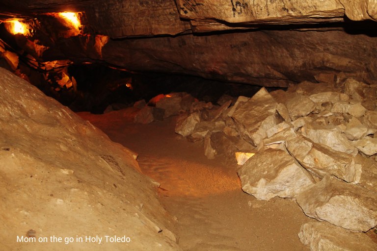 bellevuefun_2016 038