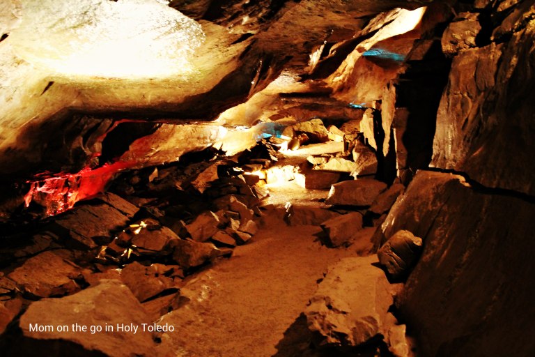 bellevuefun_2016 050