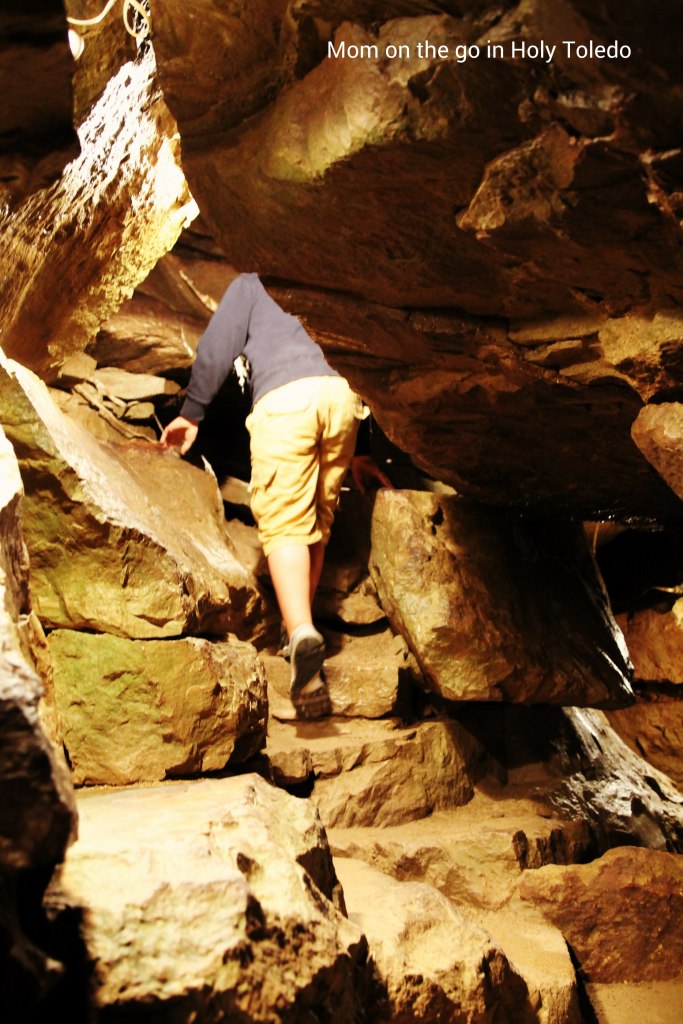 bellevuefun_2016 062