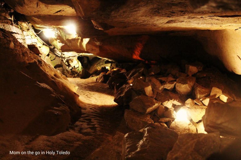 bellevuefun_2016 073