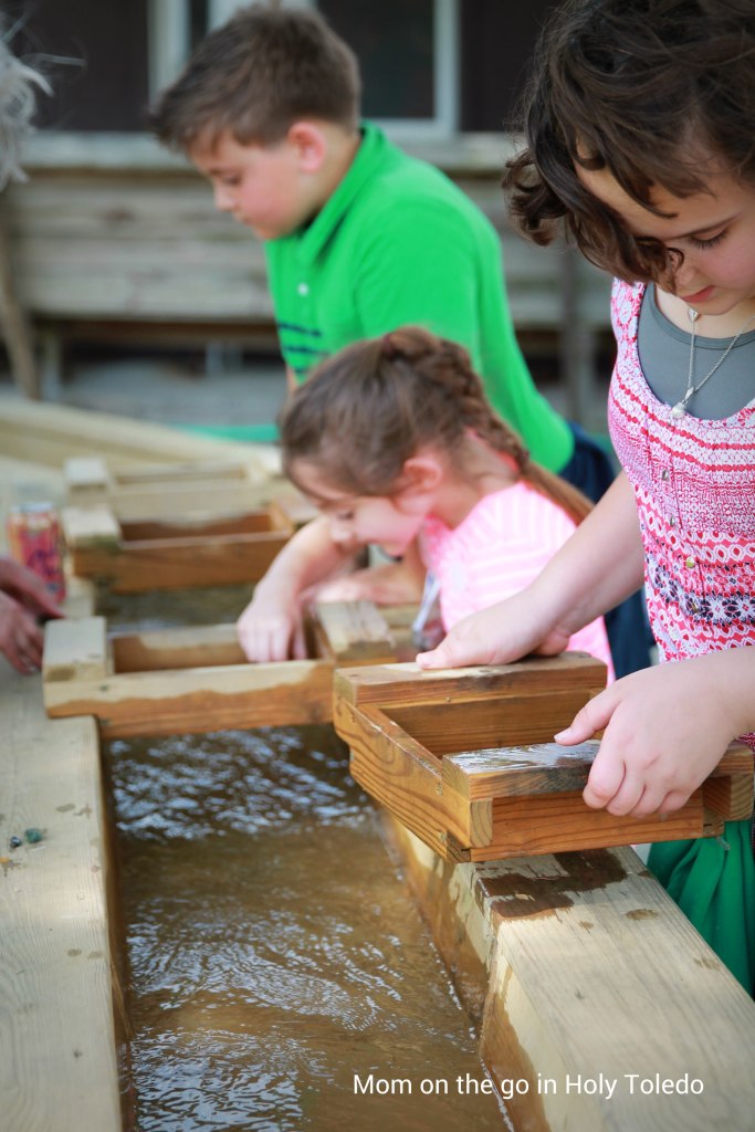 bellevuefun_2016 123