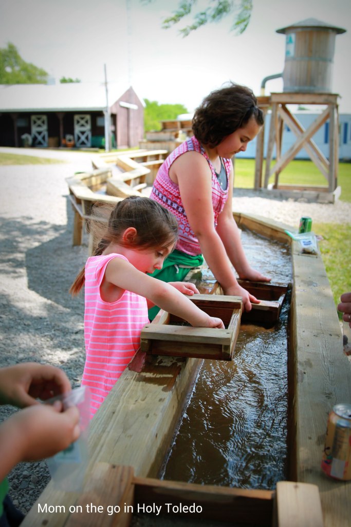 bellevuefun_2016 133