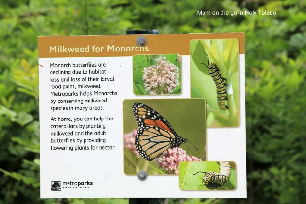 nanna_farnsworth 115