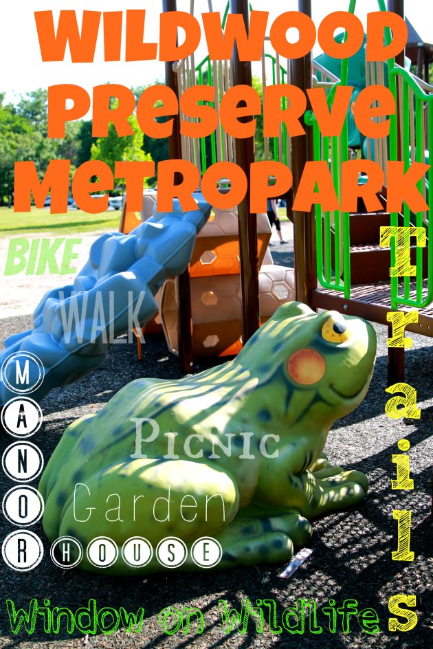 wildwood_2016 024feature