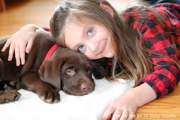 puppy_turkeytalk-075