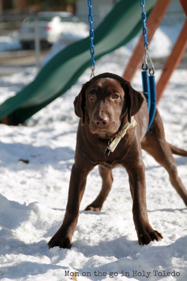 wyattwedsoutside-003