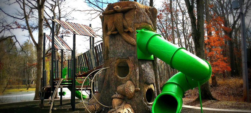 Oak Openings Metropark, a wonder to behold!
