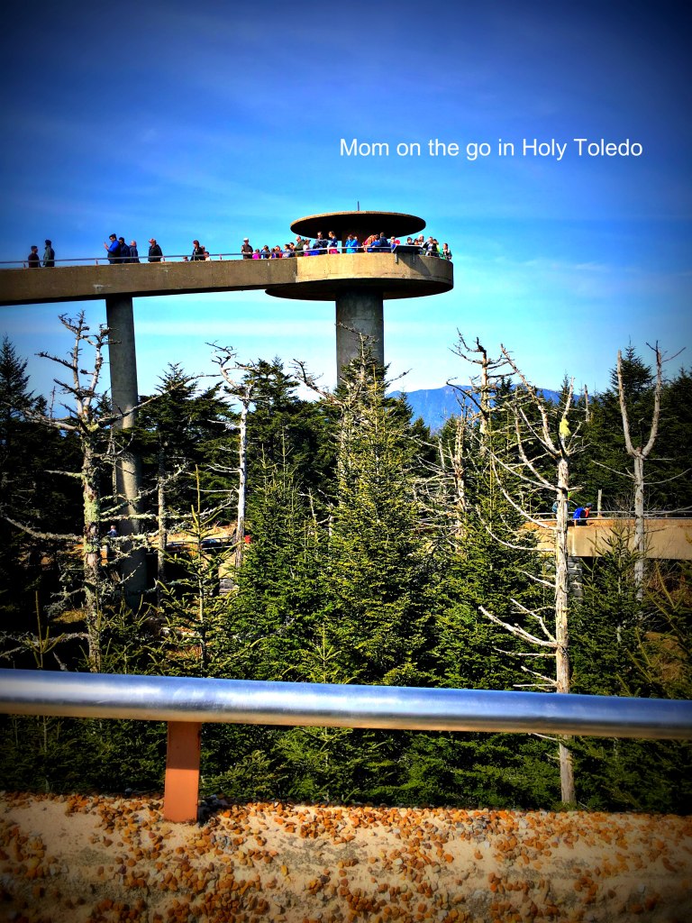 Selfies with a Sloth: Sloth Encounter at Indian Creek Zoo – Mom on the