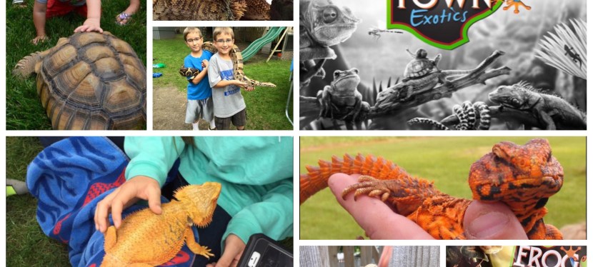 Frogtown Exotics a B-day Party Game&nbsp;Changer!