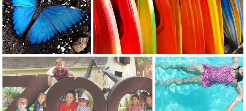 10 Kid-Approved Things to Do this May in&nbsp;Toledo