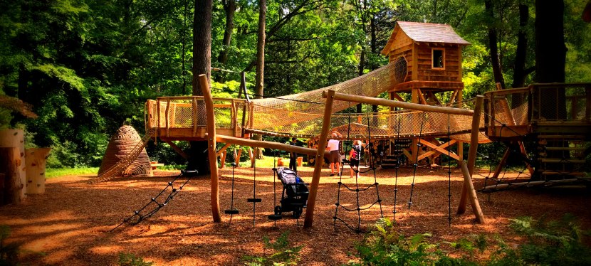 Secret Forest with a Hidden Treehouse in&nbsp;Toledo