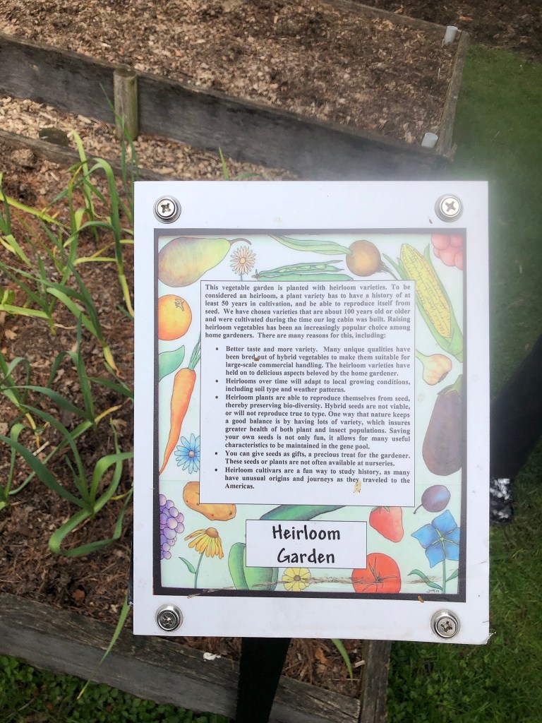 Processed With Darkroom