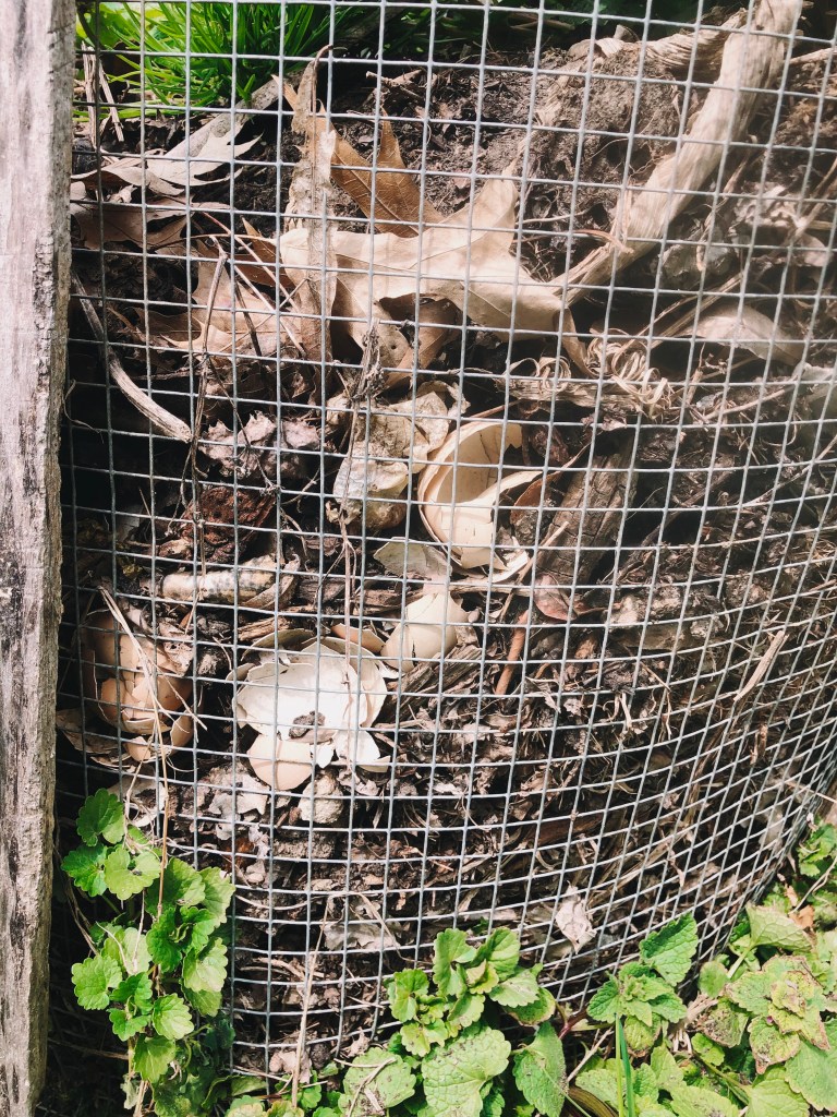 Processed With Darkroom