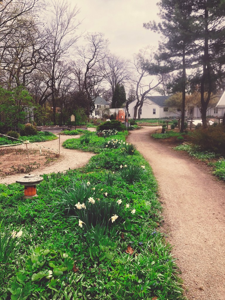 Processed With Darkroom