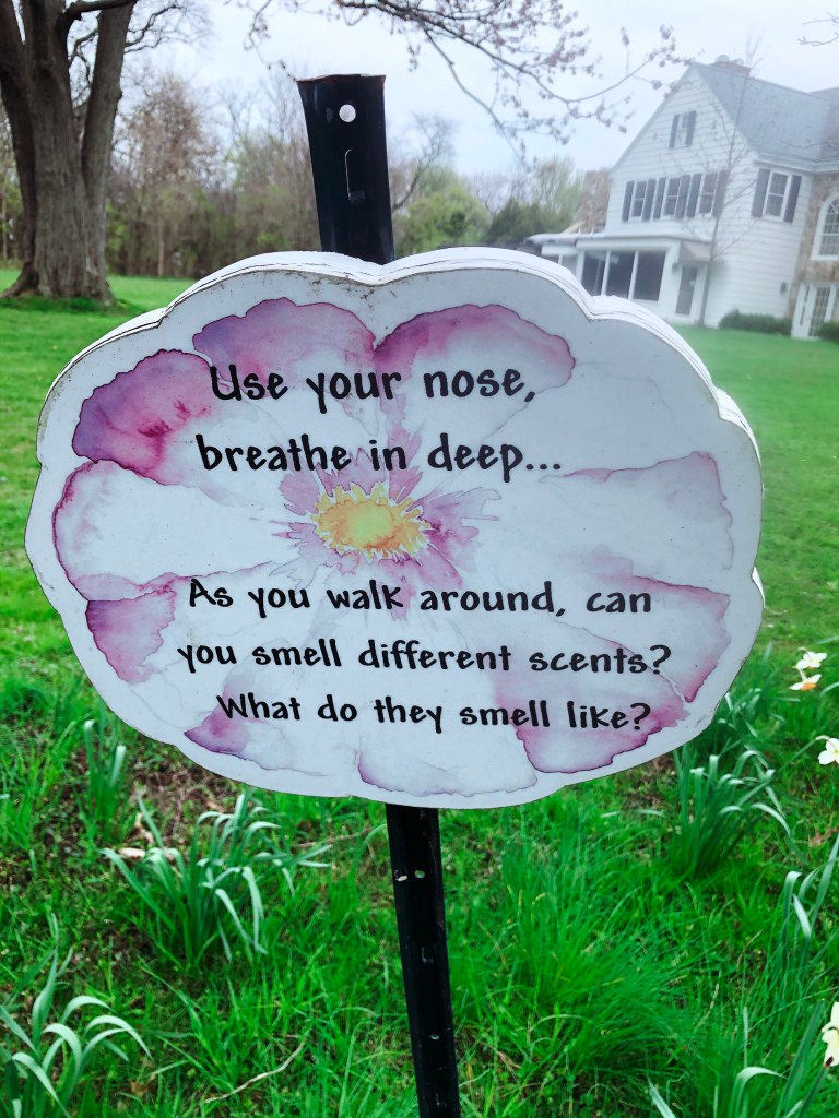 Processed With Darkroom