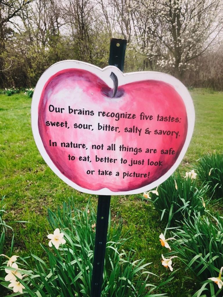 Processed With Darkroom