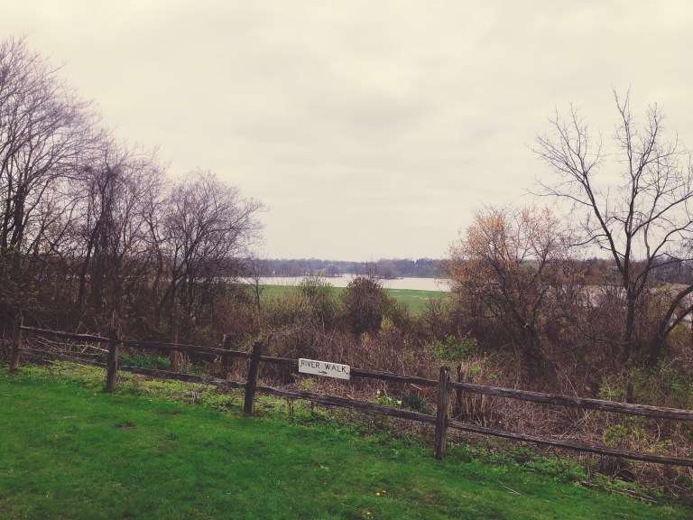 Processed With Darkroom