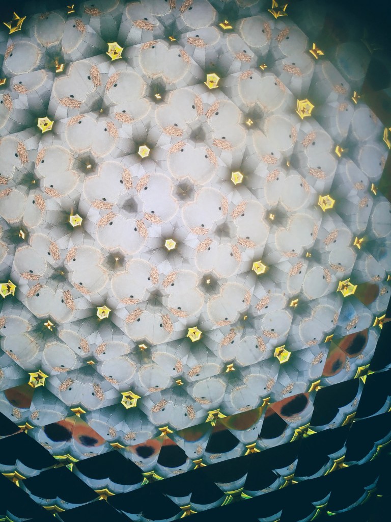 Processed With Darkroom