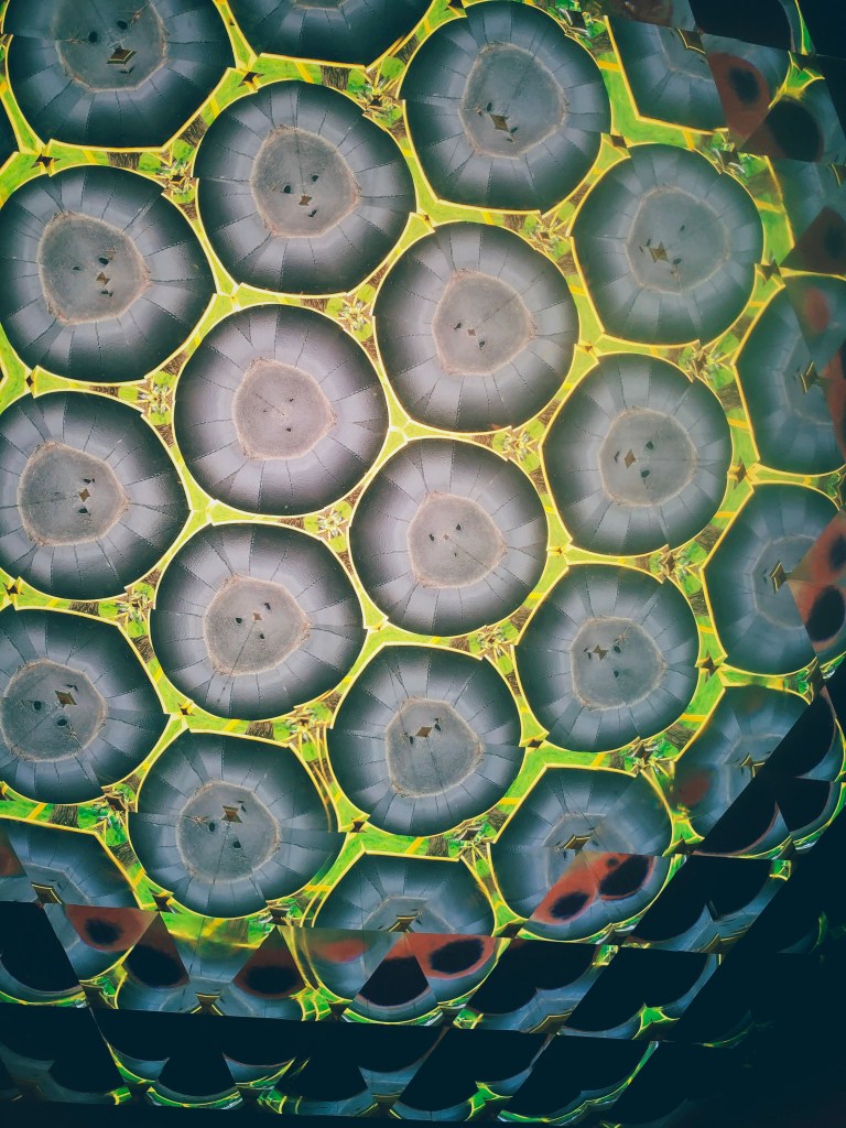 Processed With Darkroom