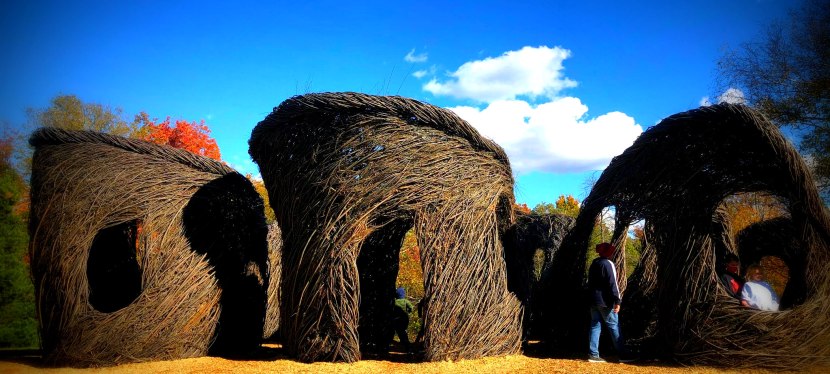 Ohio Fall Colors at Holden Arboretum and Stickwork