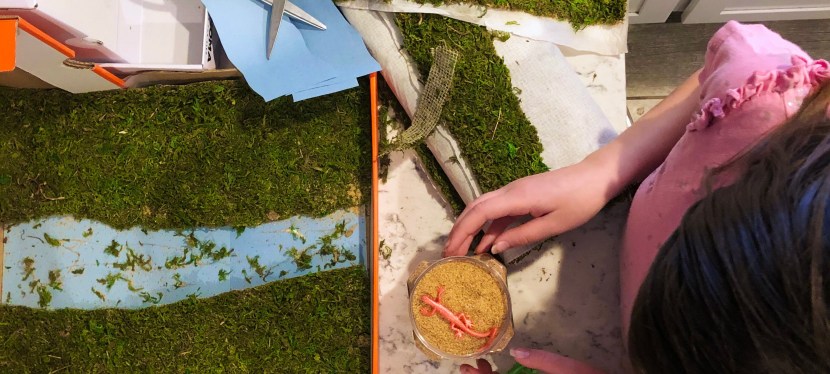 Fun  Activities To Do With The&nbsp;Family