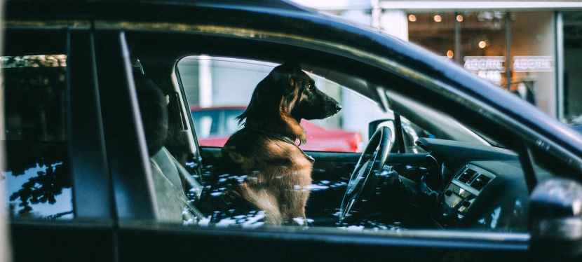 Locked Out? Time to Call a Locksmith