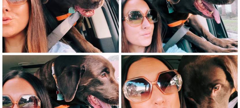 Ways to Keep Your Dog Healthy and Happy?