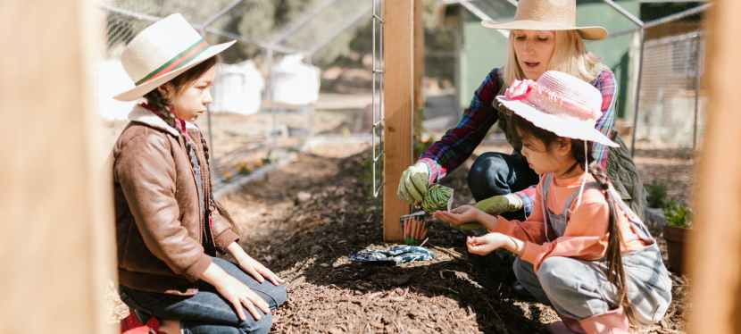 4 Ways To Make Homeschooling Fun This Year