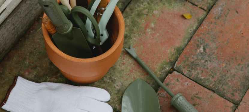 Helpful Equipment and Tools That Landscapers&nbsp;Need