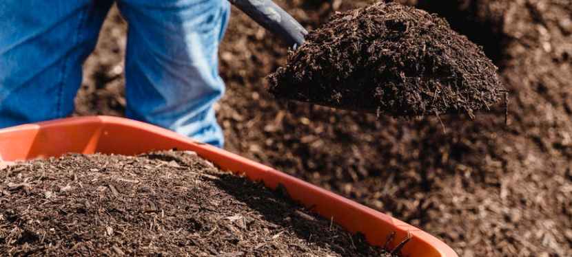 How to Safely Add Animal Waste to Your&nbsp;Compost