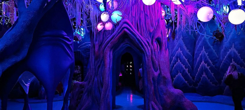 OTHER WORLD Perfect Tween & Teen Experience