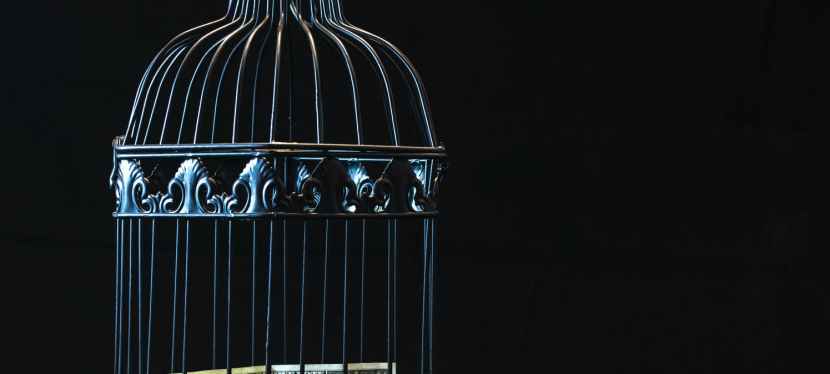 Financial Abuse doesn’t take a Holiday