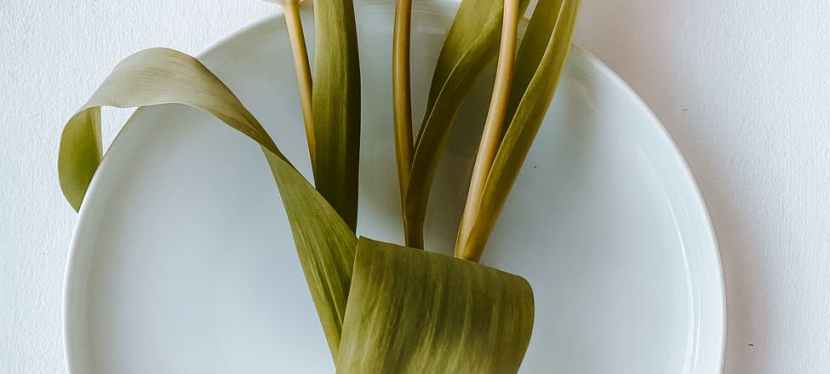 Fun DIY Projects To Brighten Up Your Spring